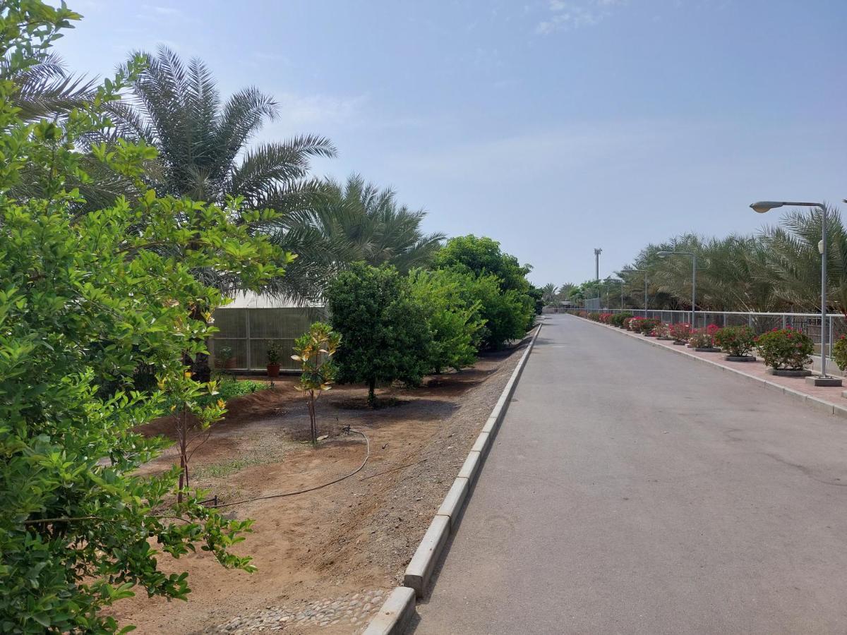 Asahalah Farm Pool Villas Seeb Exterior photo